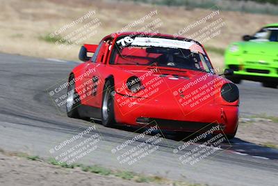 media/May-03-2024-PCA Central Coast (Fri) [[eaa7da0ee1]]/Red Group/Session 1 (Grapevine)/